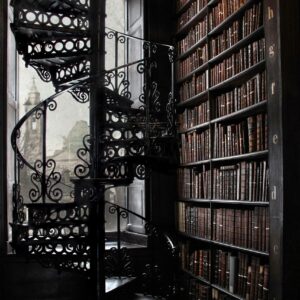 Print titled "The Library"