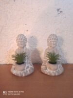Buddha Holding Plant