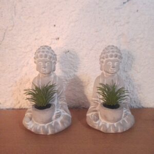 Buddha Holding Plant